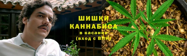 прущая мука Арсеньев