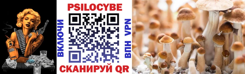 Псилоцибиновые грибы Psilocybe  Усть-Лабинск 